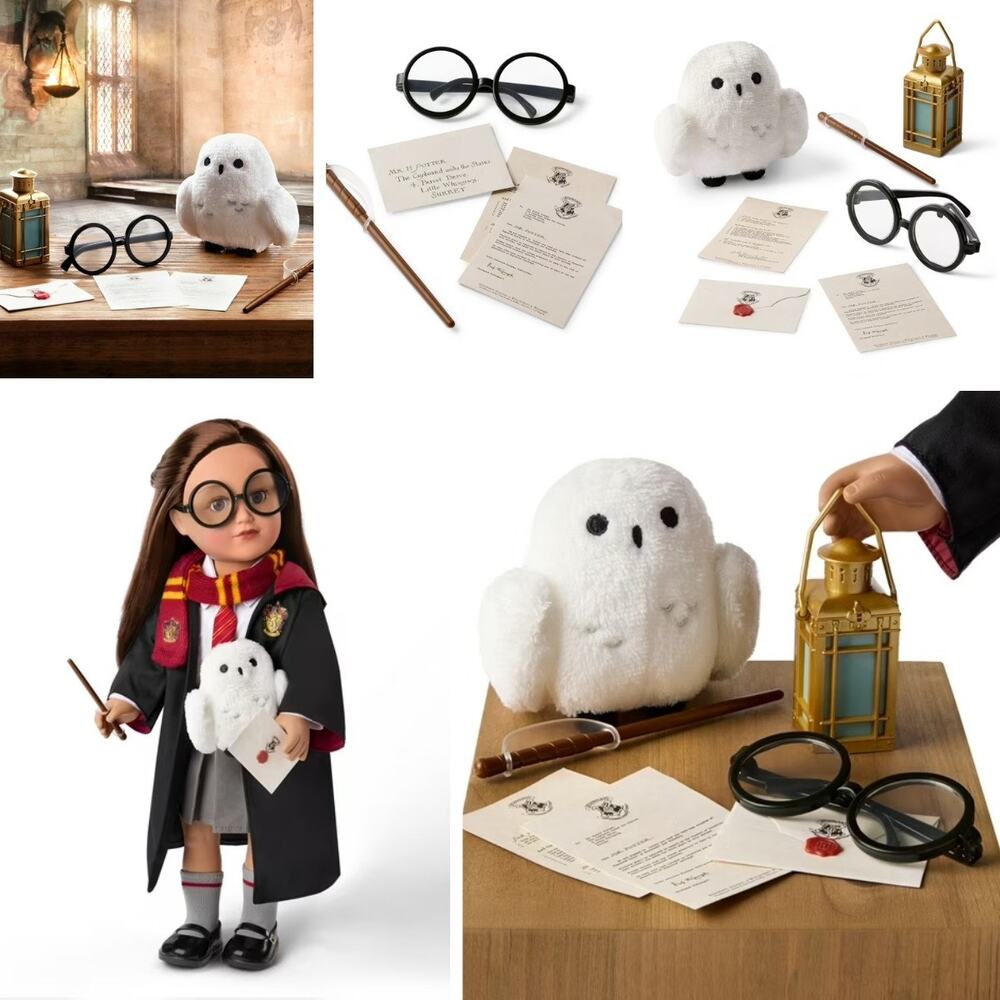 Harry Potter ™ Hogwarts ™ Wizard Accessories with Owl
